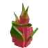 Драконий фрукт — Grow a Garden 2