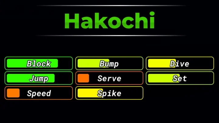 Hakochi — Volleyball Legends